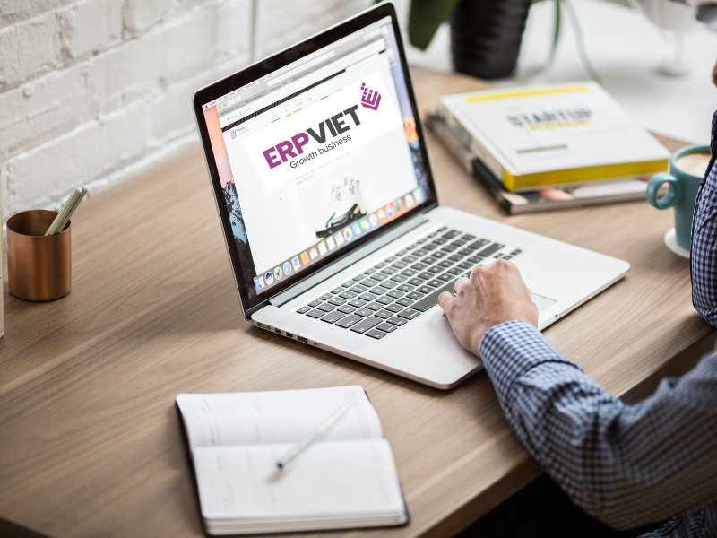 phần mềm erp việt nam