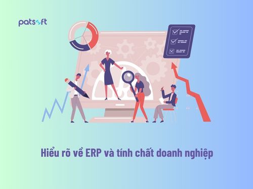 dự án erp là gì 