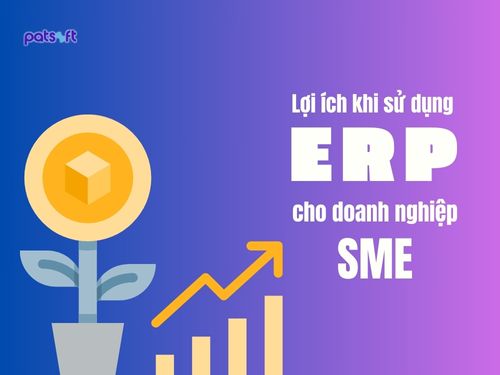phần mềm erp cho doanh nghiệp nhỏ