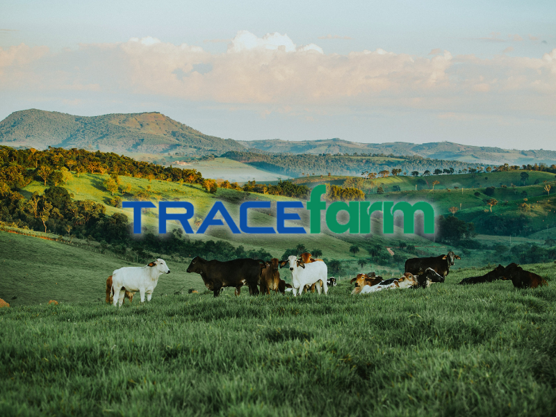 phần mềm quản lý sản xuất