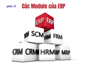 các Phân hệ erp