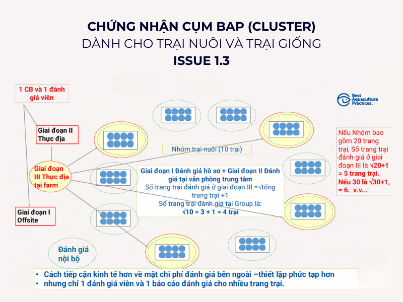 Cập nhật chứng nhận cụm cluster BAP mới dành cho trại nuôi và trại giống phiên bản 1.3